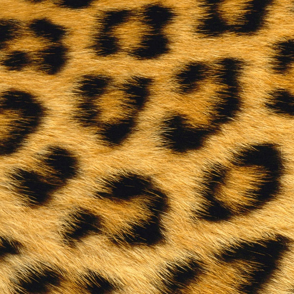 Fur